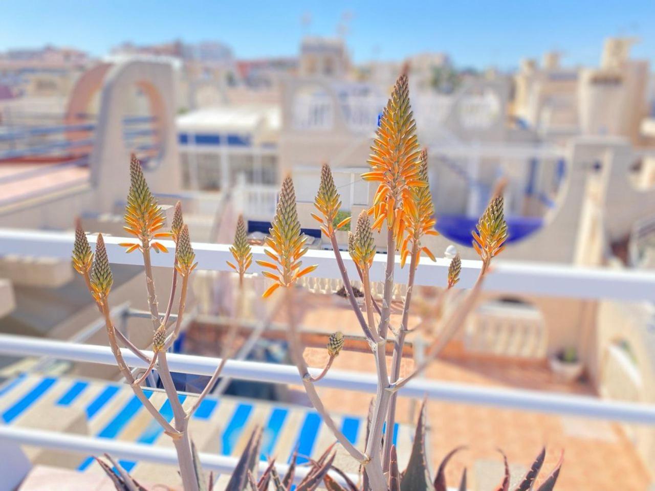 Sea View Apartments Dunas De La Mata Торрев'єха Екстер'єр фото